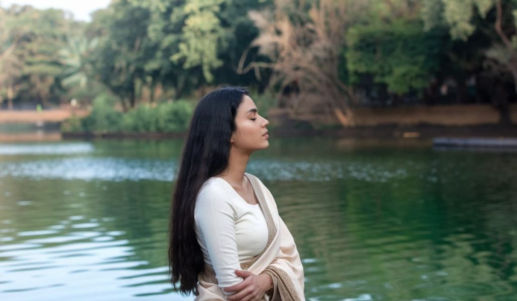 Ayurveda Experience: A Journey to Holistic Wellness
